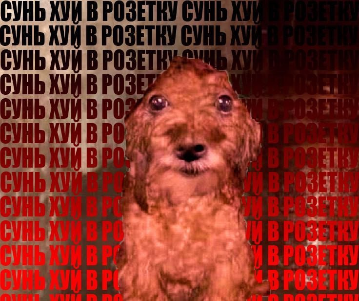 СУНЬ ХУИ POSETRY К VHb XVM СУНЬ CVHb ХУЙ CVHb СУНЬХУИВРО СУНЬ