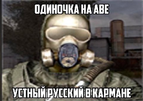 предложка