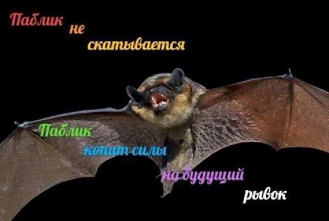 Паблик не