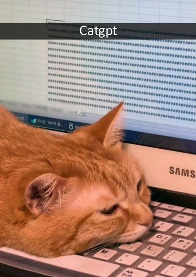 С atg А SAMs the’ к