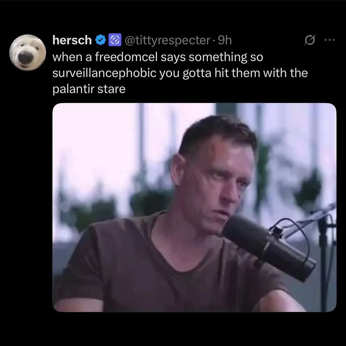 hersch when а freedomcel says something so surveillancephobic you gotta hit them with the palantir stare a a