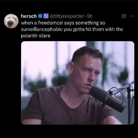 hersch when а freedomcel says something so surveillancephobic you gotta hit them with the palantir stare a a