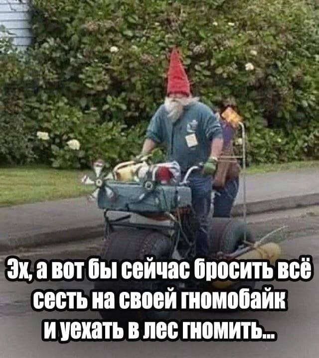 авот бы сейчас бросить всё сесть на своей гномобайк и уехать в лес