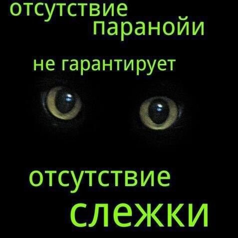 отсутствие паранойи не гарантирует отсутствие слежки