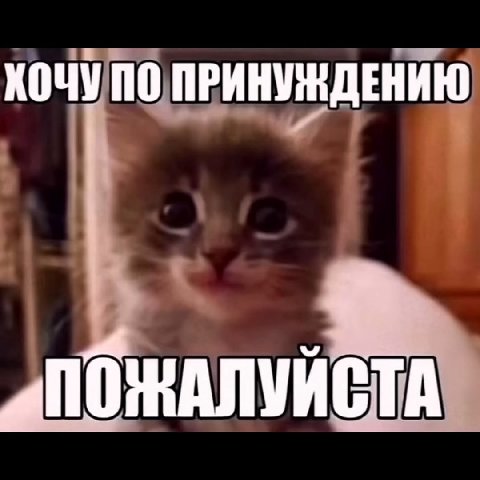 ХОЧУ ПО ПРИНУЖДЕНИЮ
