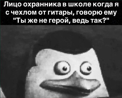Лицо охранника в школе когда я с чехлом от гитары, говорю ему "Ты жене герой, ведь так?"