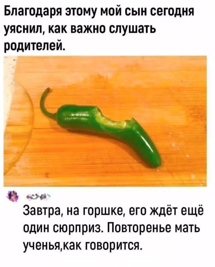Благодаря этому мой сын сегодня уяснил, как важно слушать родителей. Завтра, на горшке, его ждёт ещё один сюрприз. Повторенье мать говорится.