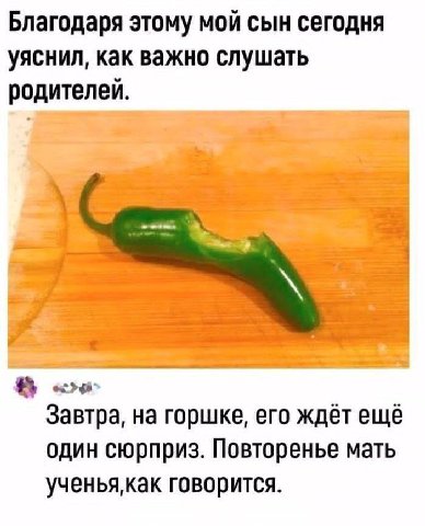 Благодаря этому мой сын сегодня уяснил, как важно слушать родителей. Завтра, на горшке, его ждёт ещё один сюрприз. Повторенье мать говорится.