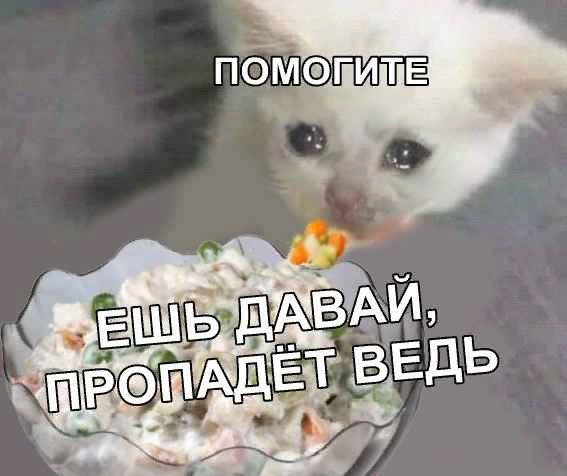 ВЕДЬ