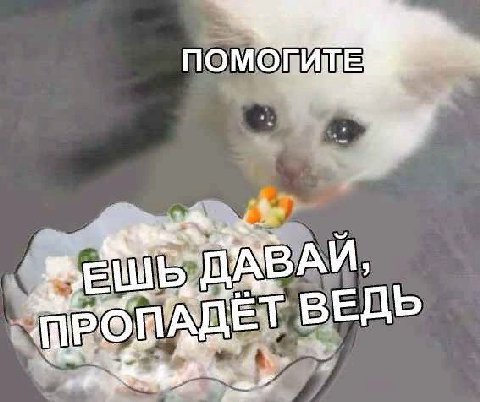 ВЕДЬ