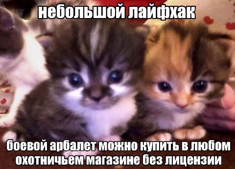 небольшой лаифкак 7 боевой арбалет можно купить в любом охотничьем магазине без лицензии