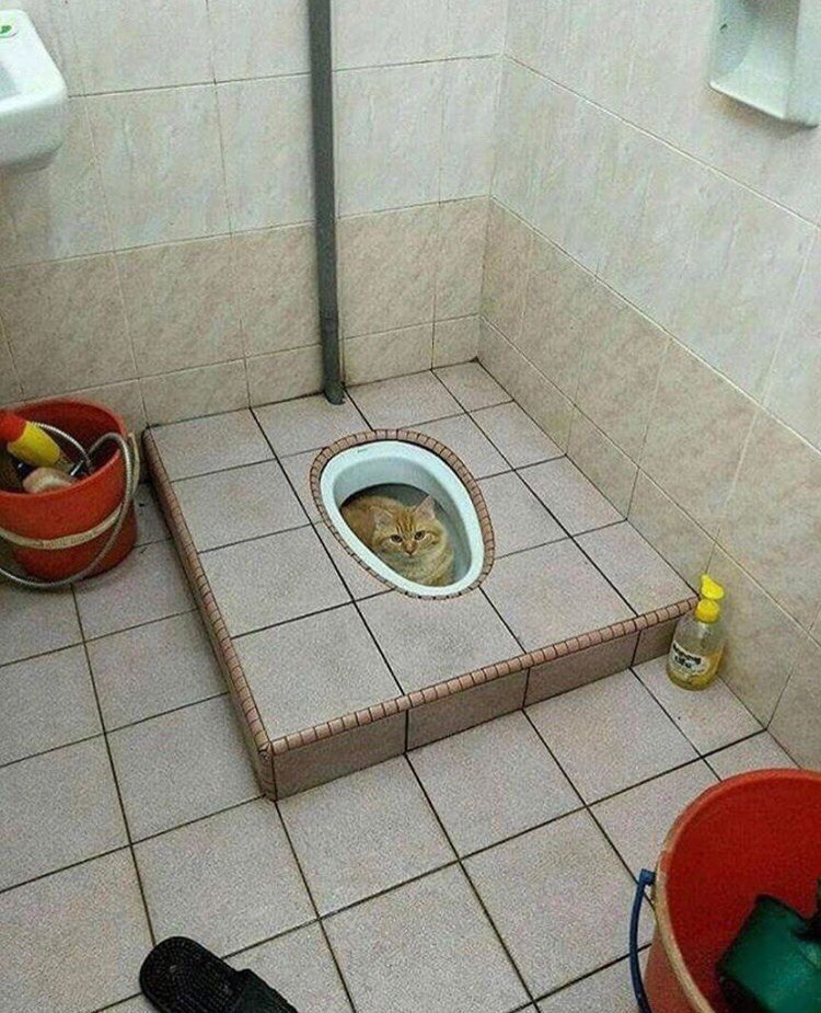 а у i у У