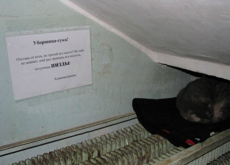 a was место! от кота. не трогай Я не ПИЗДЫ! 4