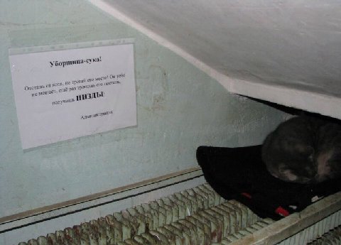 a was место! от кота. не трогай Я не ПИЗДЫ! 4