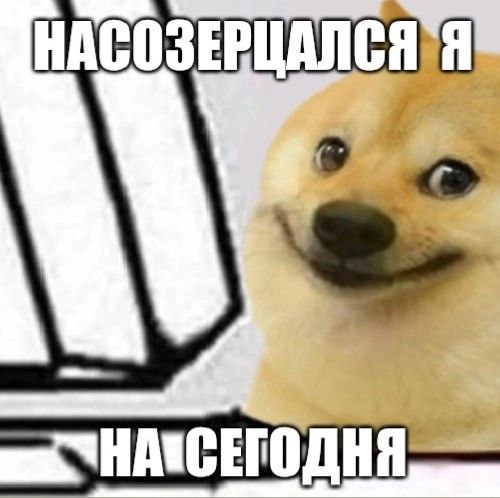 НАСОЗЕРЦАЛСЯ Я