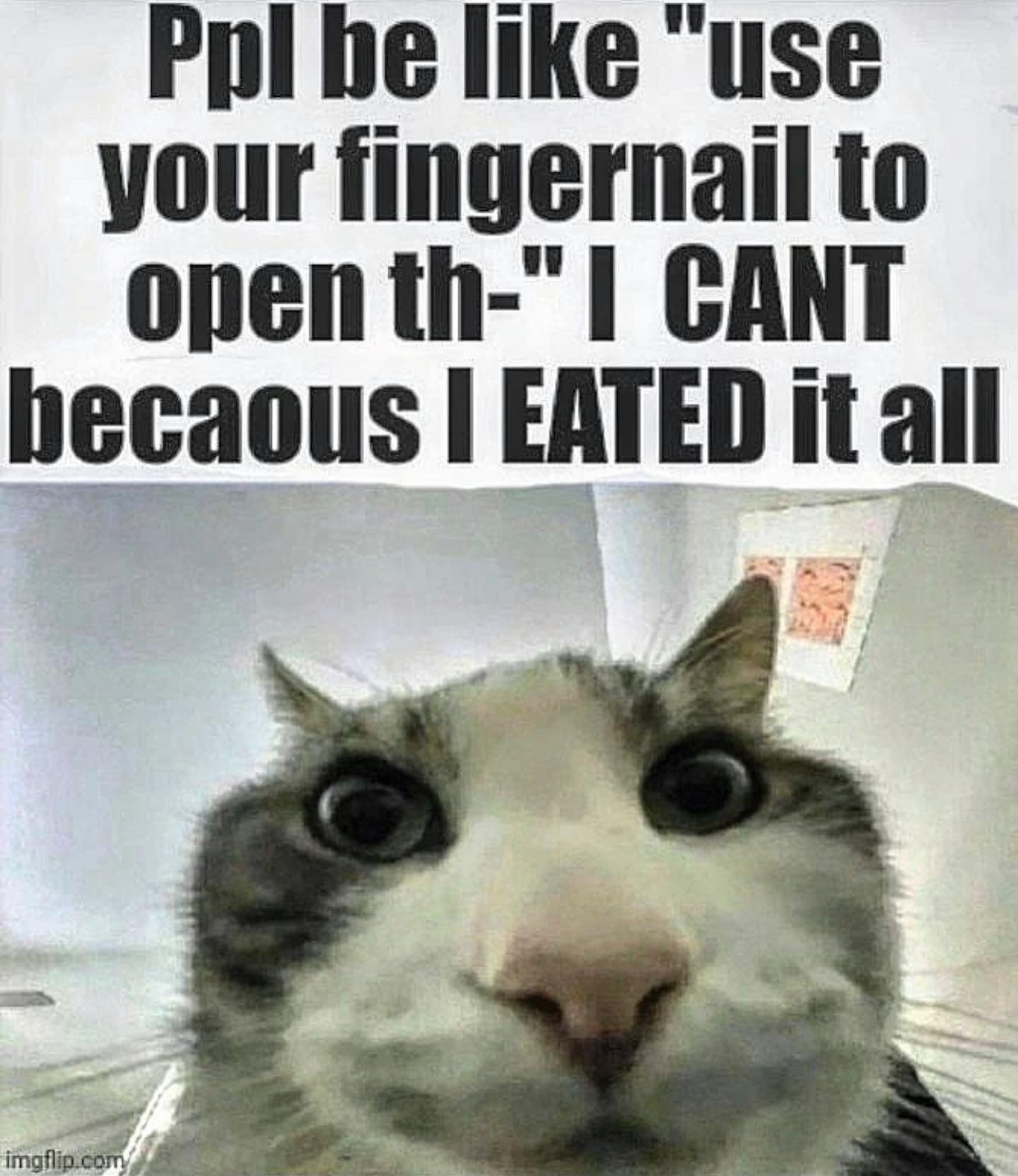 Pol be like “use your fingernail to open CANT hecaous EATED it all