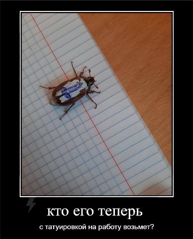 кто его теперь с татуировкой на работу возьмет?