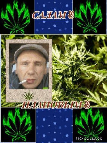 i На A 7A