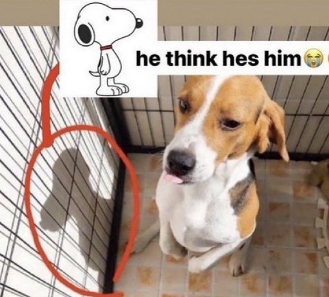 hes him®