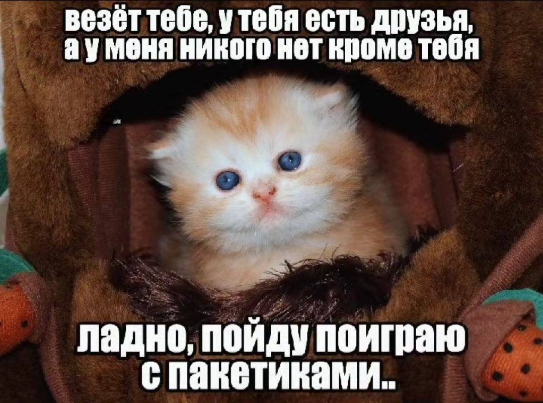 везет тебе, утебя есть друзья, никого нет кроме тебя ладно, пойду поиграю спаветиками..
