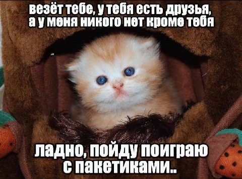 везет тебе, утебя есть друзья, никого нет кроме тебя ладно, пойду поиграю спаветиками..