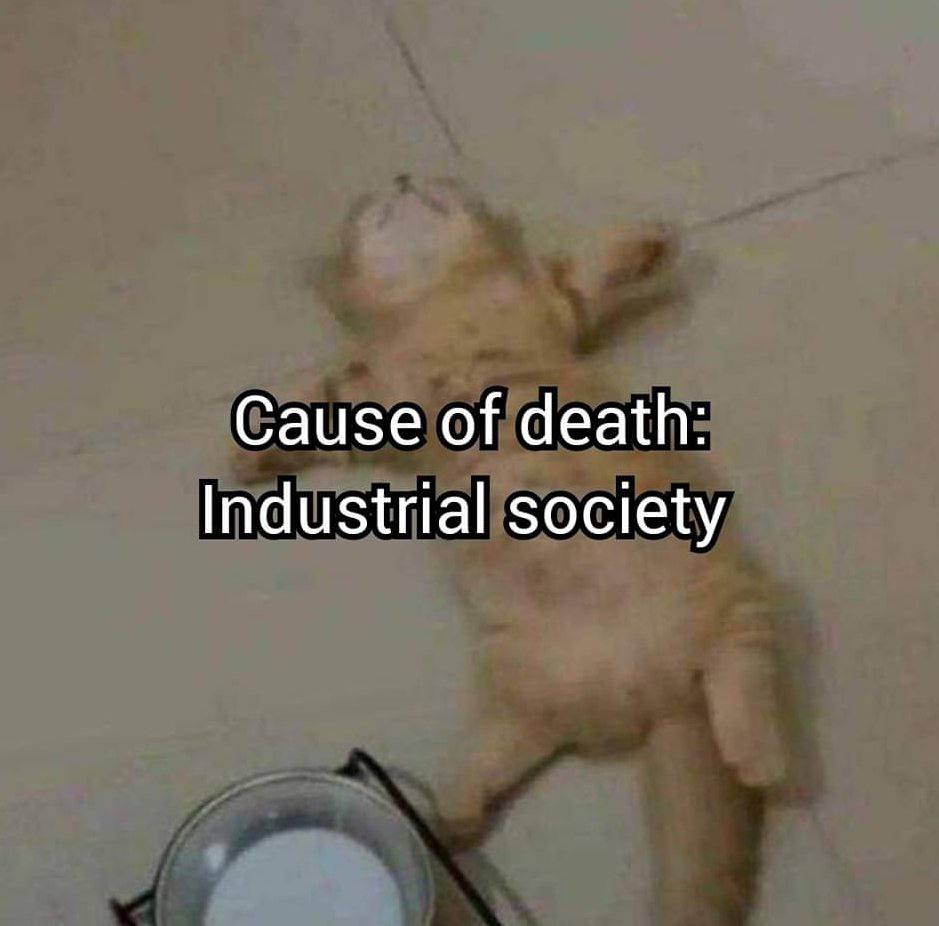 Cause of death: Industrial society