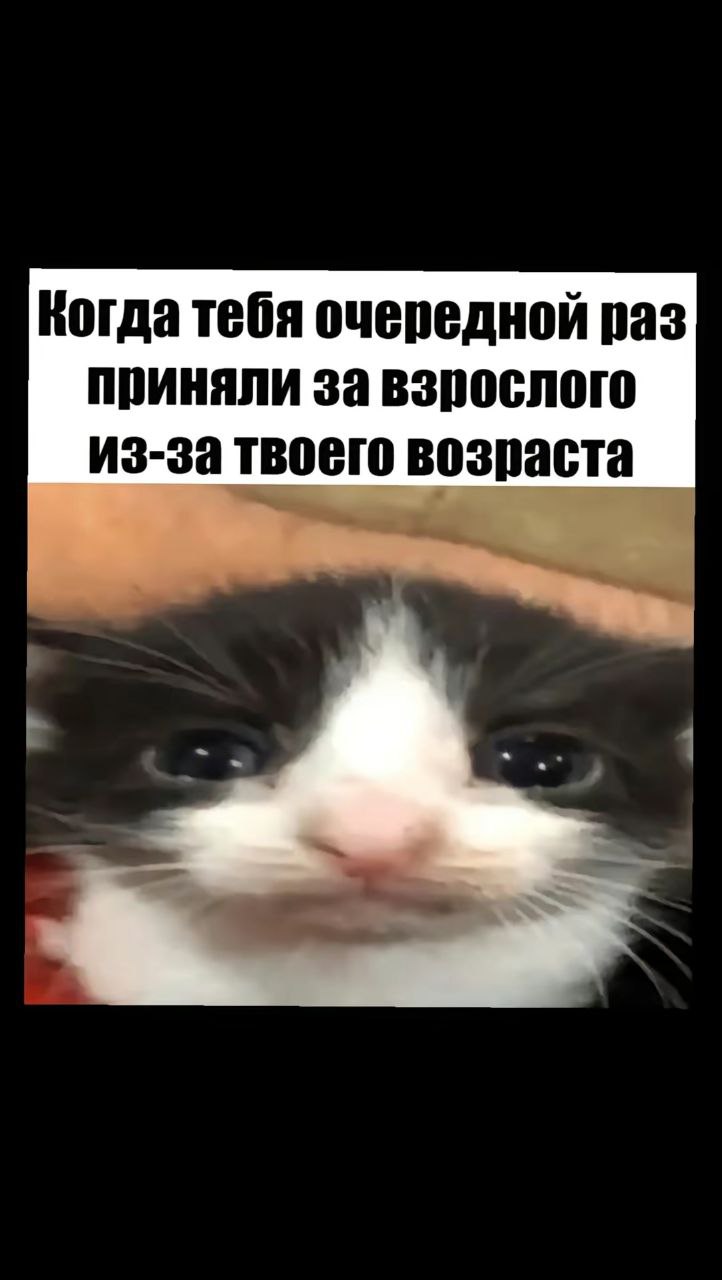 Когда тебя очередной раз приняли за взрослого из-за твоего возраста