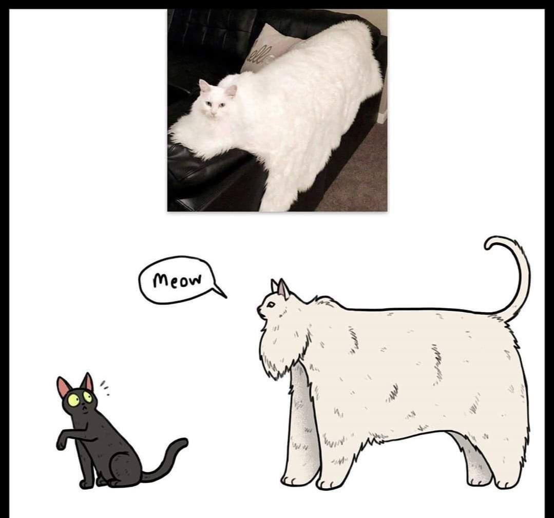 2 А. a