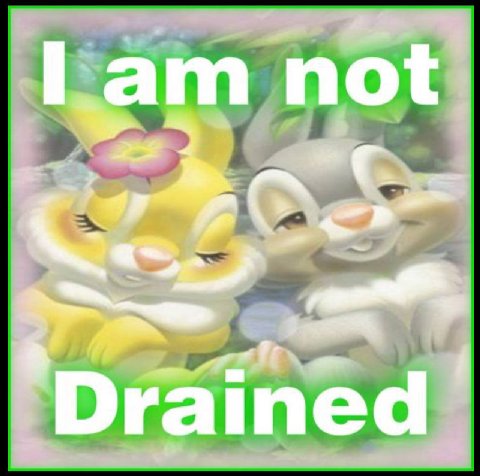 not