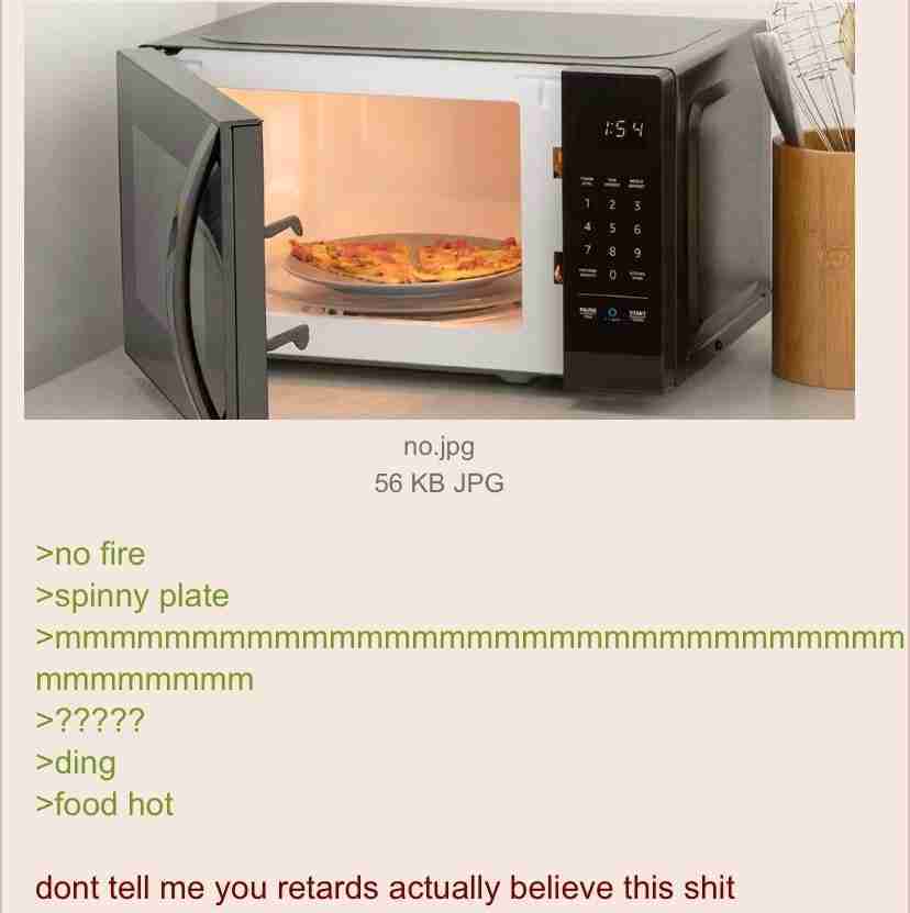 8 9 no.jpg 56 JPG >no fire >spinny plate mmmmmmmm >ding >food hot dont tell me you retards actually believe this shit