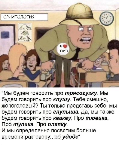wht! yet 46 "Мы будем говорить про трясогузку. Мы будем говорить про клушу. Тебе смешно, жопоголовый? Ты только представь себе, мы будем говорить про глупыша. Да, мы также будем говорить про квакву. П