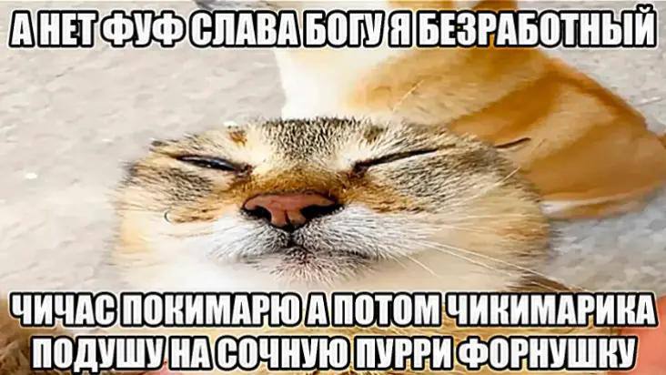 РАБОТНЫЙ БЕЗ i= AN ИНИМАРИКА,
