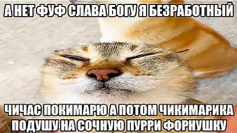 РАБОТНЫЙ БЕЗ i= AN ИНИМАРИКА,