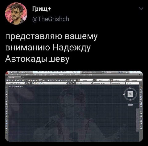 Грищ+ представляю вашему вниманию Надежду Автокадышеву