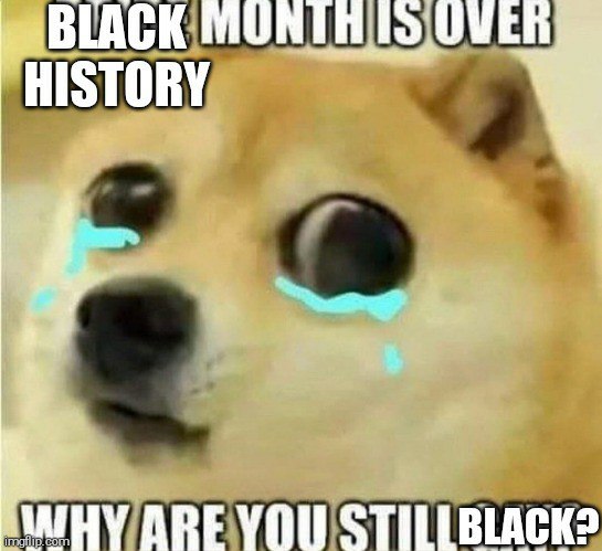 HISTORY ARE VOU STILLBLACK?