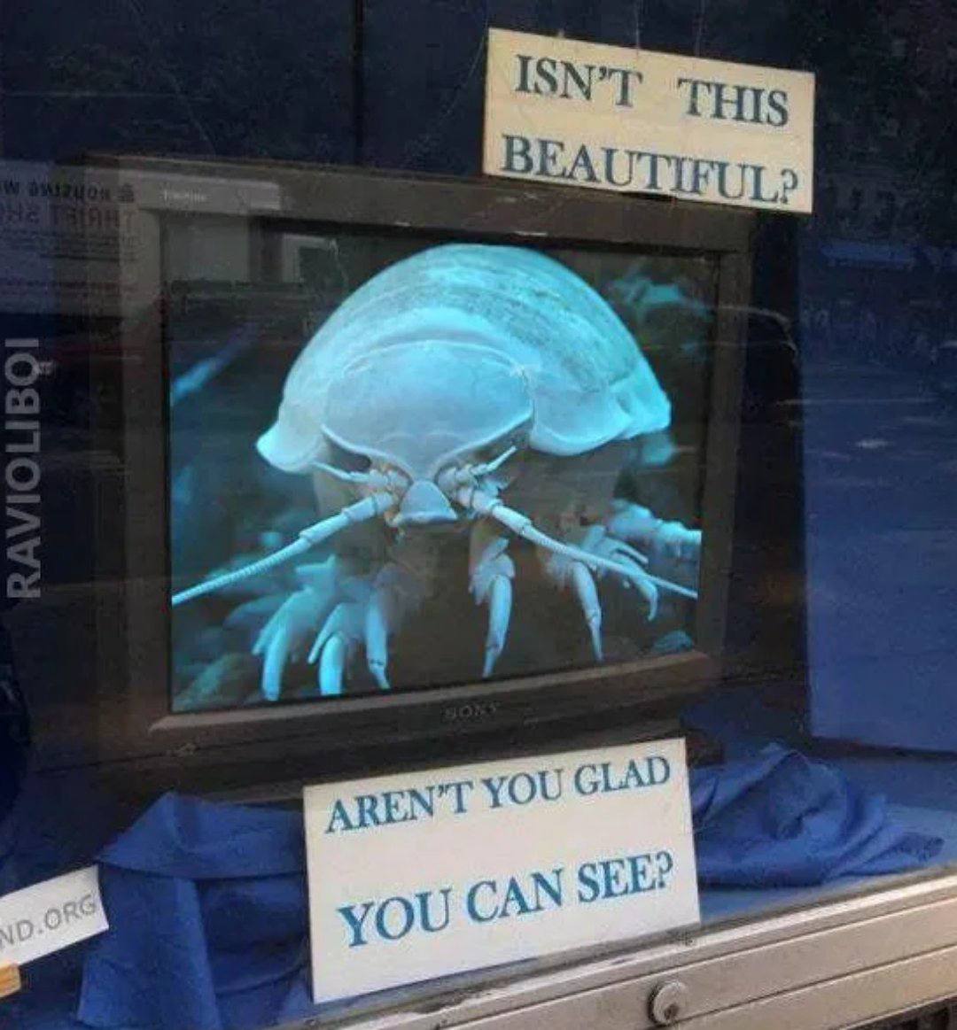 GLAD you