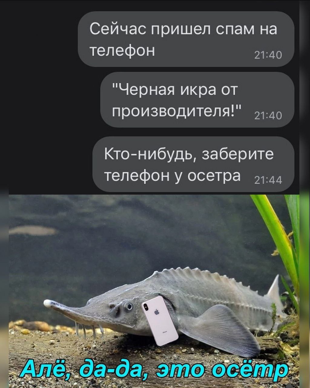 Сейчас пришел спам на телефон О "Черная икра от производителя!" Кто-нибудь, заберите 2 телефон у осетра Asie а-да этогосе