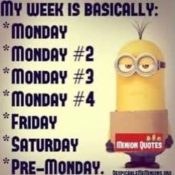 MY WEEK IS BASICALLY: “Monpay #2 “Monpay #3 “Monpay #4 “FRIDAY