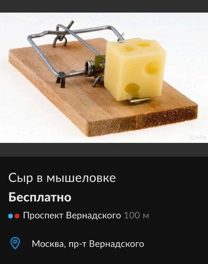 Сыр в мышеловке Бесплатно Проспект Вернадского 100 Москва, пр-т Вернадского