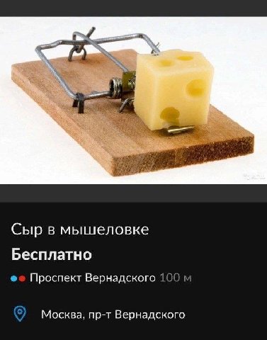 Сыр в мышеловке Бесплатно Проспект Вернадского 100 Москва, пр-т Вернадского
