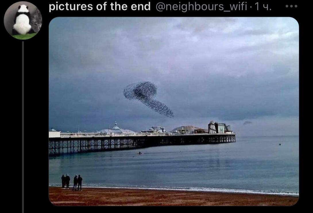 A pictures of the end