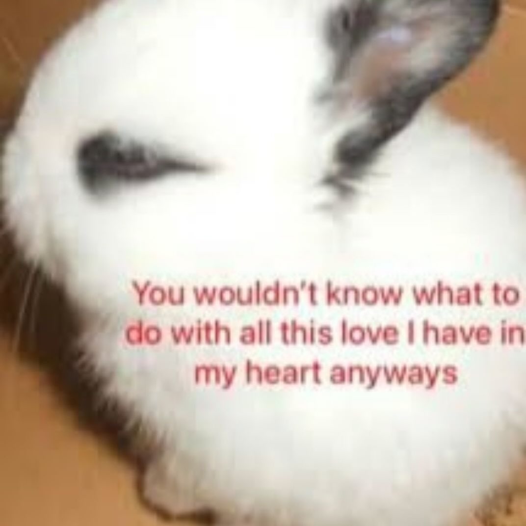 You wouldn't know what to with all this love have in my heart anyways