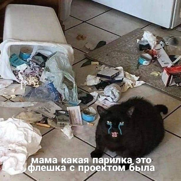 a ама какая парилка это ешка с прое том была