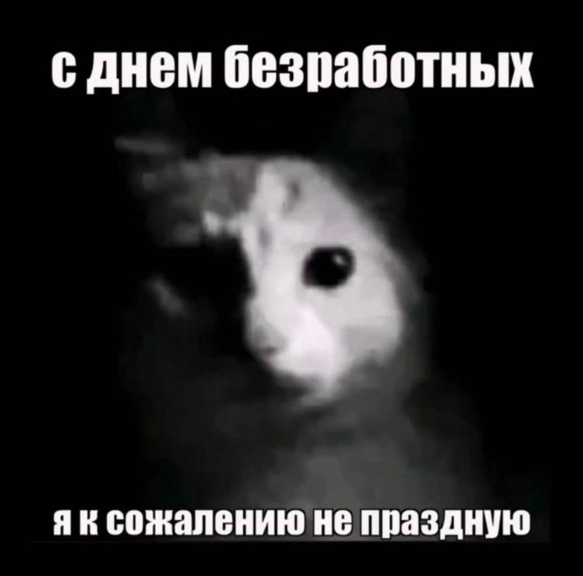с днем безработных сожалению не праздную