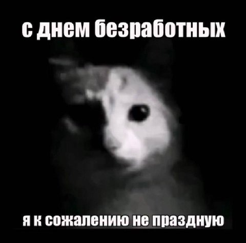 с днем безработных сожалению не праздную