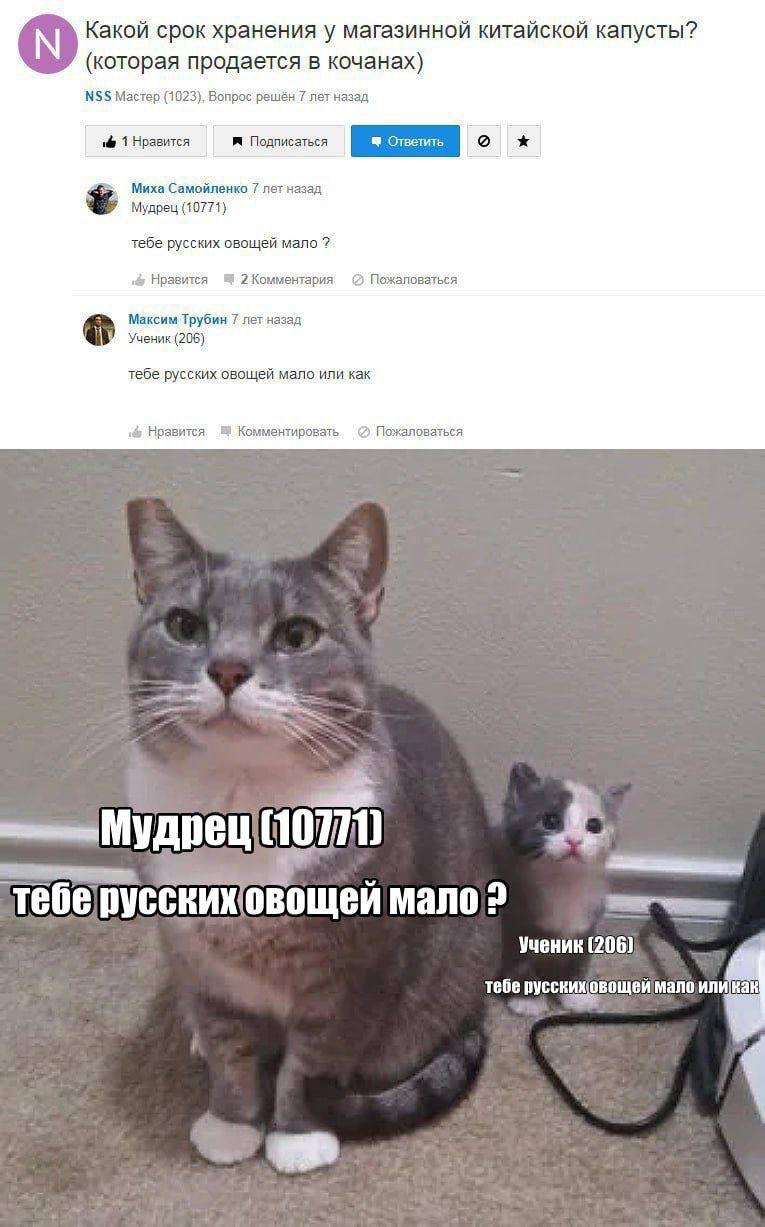 Какой срок хранения у магазинной китайской капусты? (которая продается в кочанах) NSS Мастер (1023), Вопрос решён 7 лет назад 1 Нравится Подписаться Миха Самойленко 7 лет назад Мудрец (10771) тебе рус