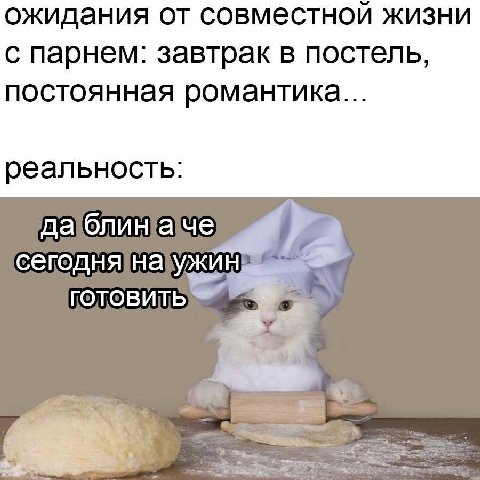 ожидания от совместной жизни с парнем: завтрак в постель, постоянная романтика... реальность: Ужин a