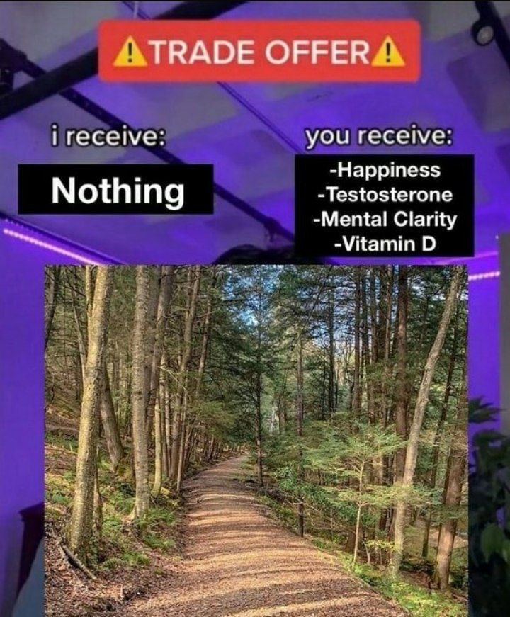 TRADE OFFER you receive: -Happiness Nothing -Testosterone -Mental Clarity -Vitamin