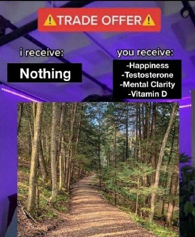 TRADE OFFER you receive: -Happiness Nothing -Testosterone -Mental Clarity -Vitamin