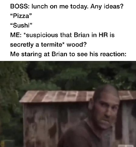 BOSS: lunch оп me today. Any ideas? ME: ‘suspicious that Brian in HR is secretly a termite* wood? Me staring at Brian to see his reaction: